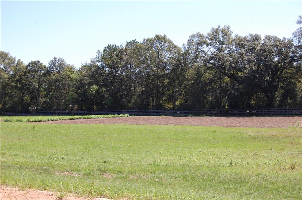 80-acres La Tung Road Covington, LA 70435 - Photo 22 of 35
