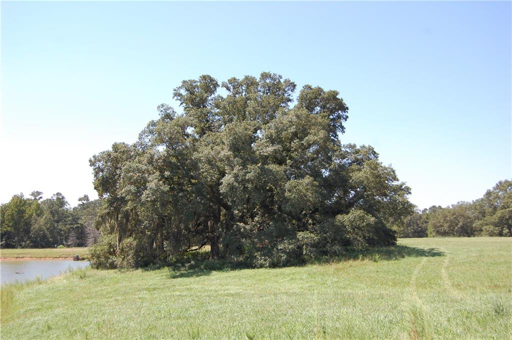 80-acres La Tung Road Covington, LA 70435 - Photo 23 of 35
