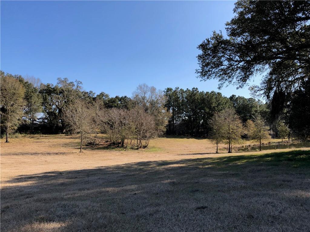 80-acres La Tung Road Covington, LA 70435 - Photo 26 of 35