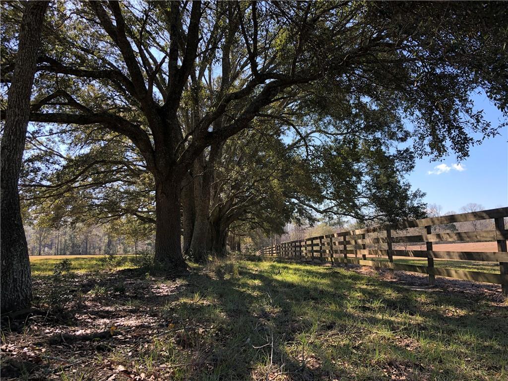 80-acres La Tung Road Covington, LA 70435 - Photo 29 of 35