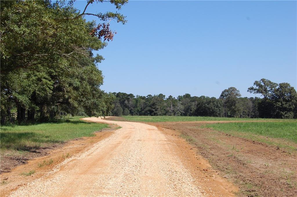 80-acres La Tung Road Covington, LA 70435 - Photo 5 of 35