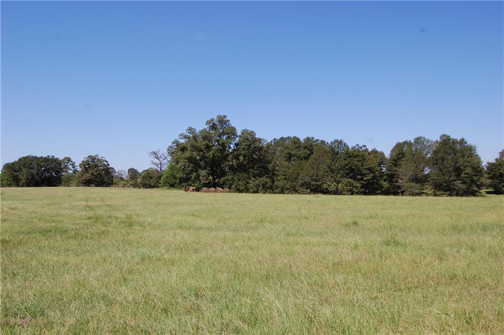 80-acres La Tung Road Covington, LA 70435 - Photo 10 of 35