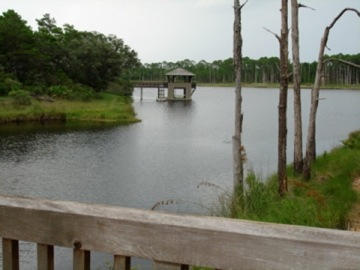 Lot 14-4 Boat House Road Santa Rosa Beach, FL 32459 - Photo 4 of 5 Draper Lake Lot 14-4