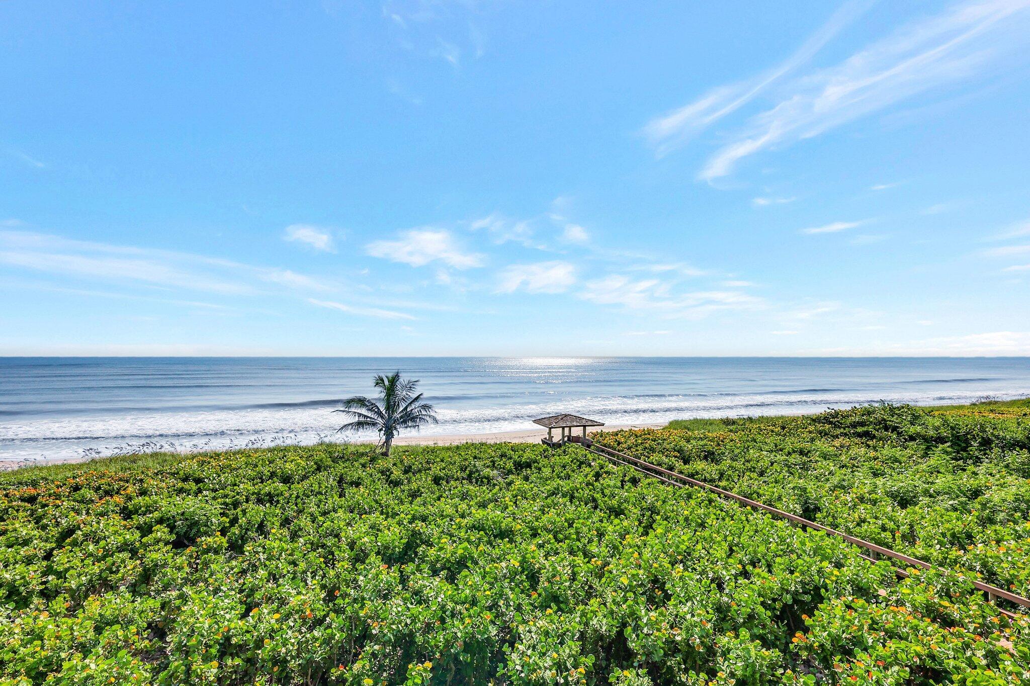 4000 North Hwy A1A, Unit 402 Hutchinson Island, FL 34949 - Photo 49 of 60 69-web-or-mls-5P1A3460