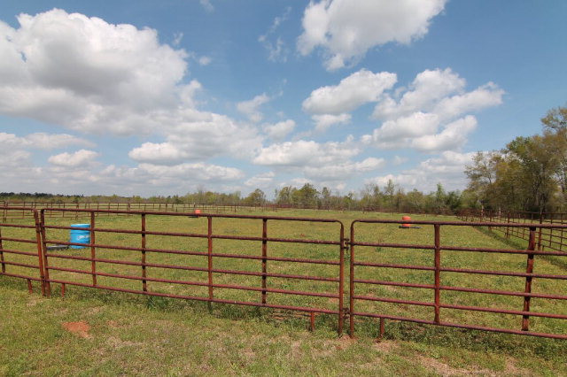 1237 Dixon Hendrick Road Keysville, GA 30816 - Photo 14 of 38 Gallery Image 14