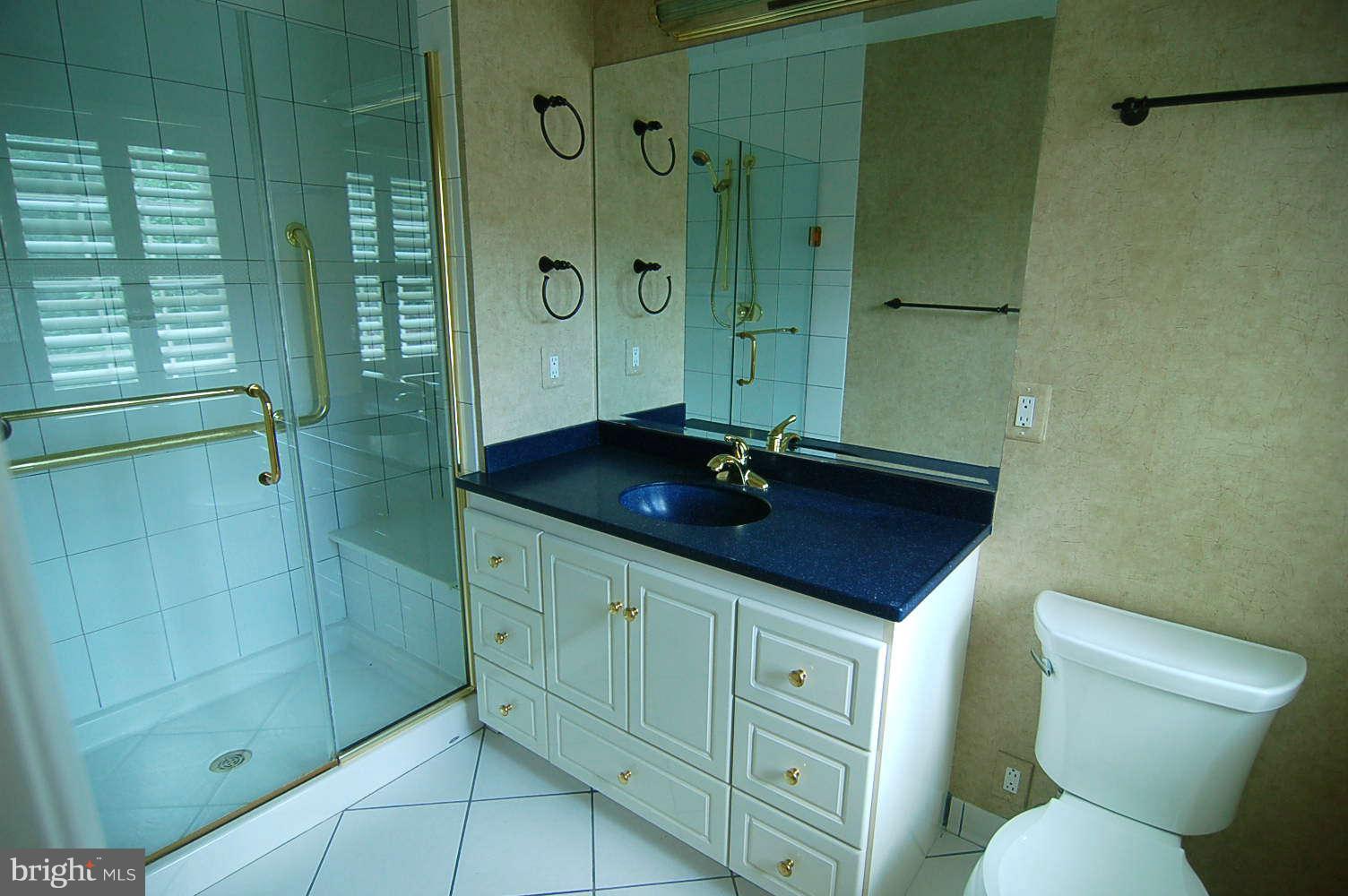 770 Potomac River Road McLean, VA 22102 - Photo 26 of 30 Bath