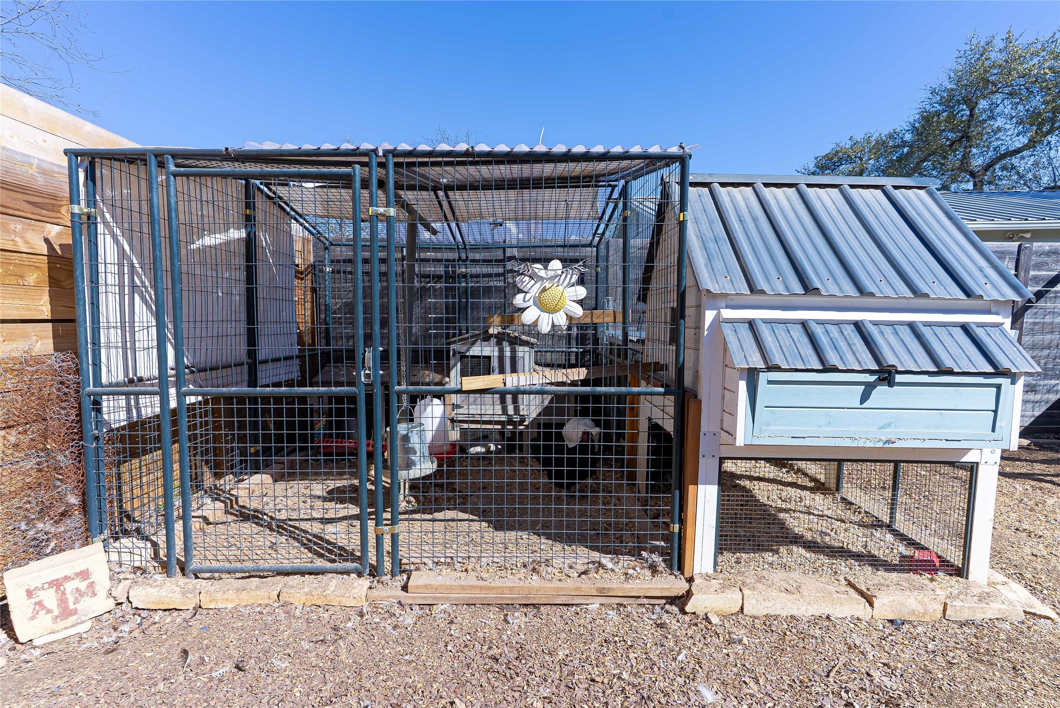11010 3rd Street Jonestown, TX 78645 - Photo 22 of 23 Spacious backyard ideal for gardening, relaxing, or raising chickens