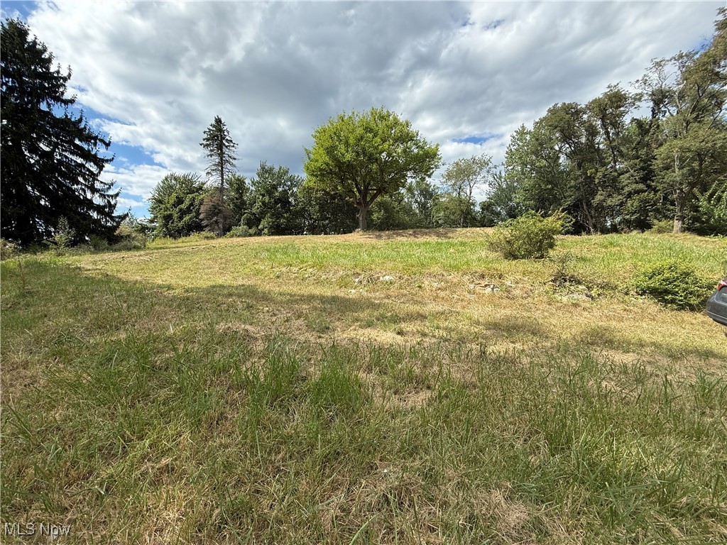 408 East High Street Flushing, OH 43977 - Photo 1 of 13 View of nature