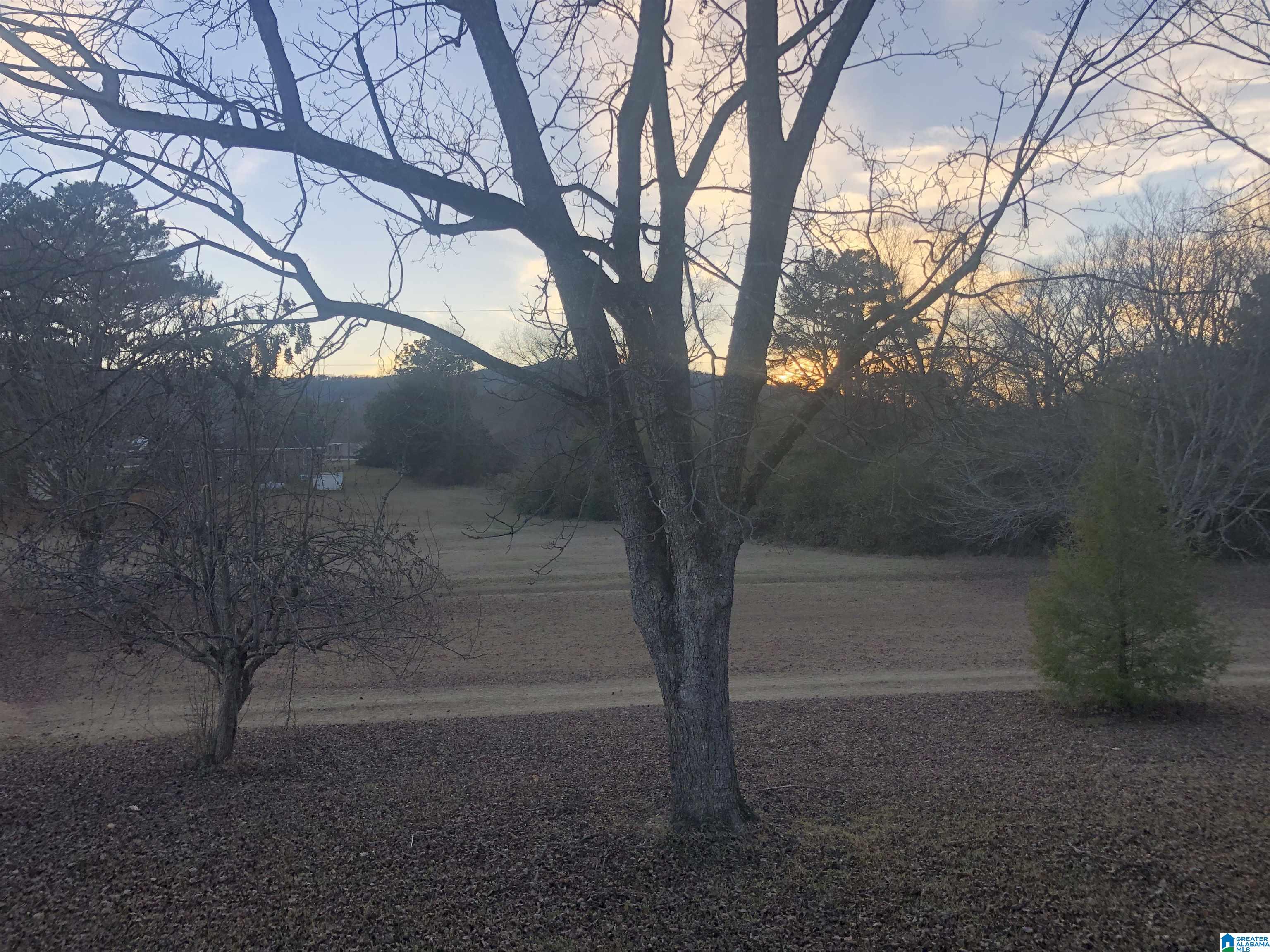 434 Flag Pole Mountain Road Childersburg, AL 35151 - Photo 50 of 71