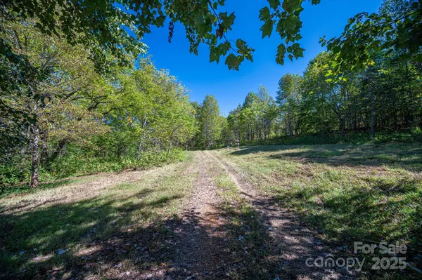 a view of backyard with green space