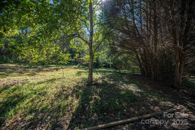 a view of outdoor space with deck and yard