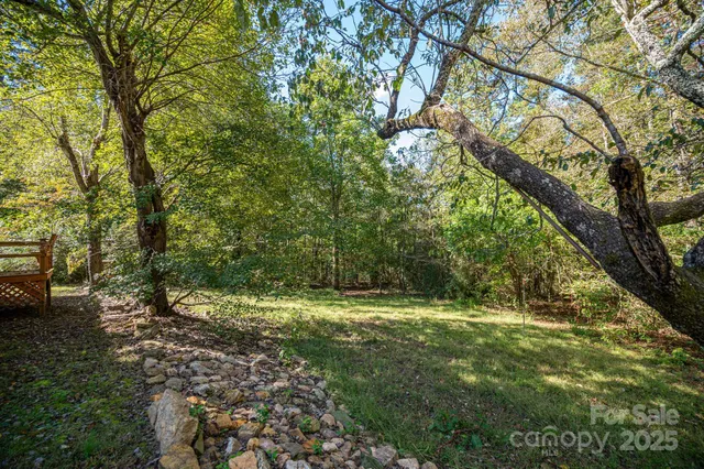 a view of outdoor space with trees all around