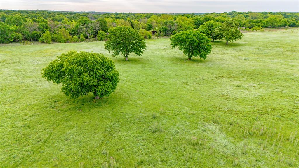 3061 Turkey Creek Road Sunset, TX 76270 - Photo 36 of 38 a view of a garden with a lake