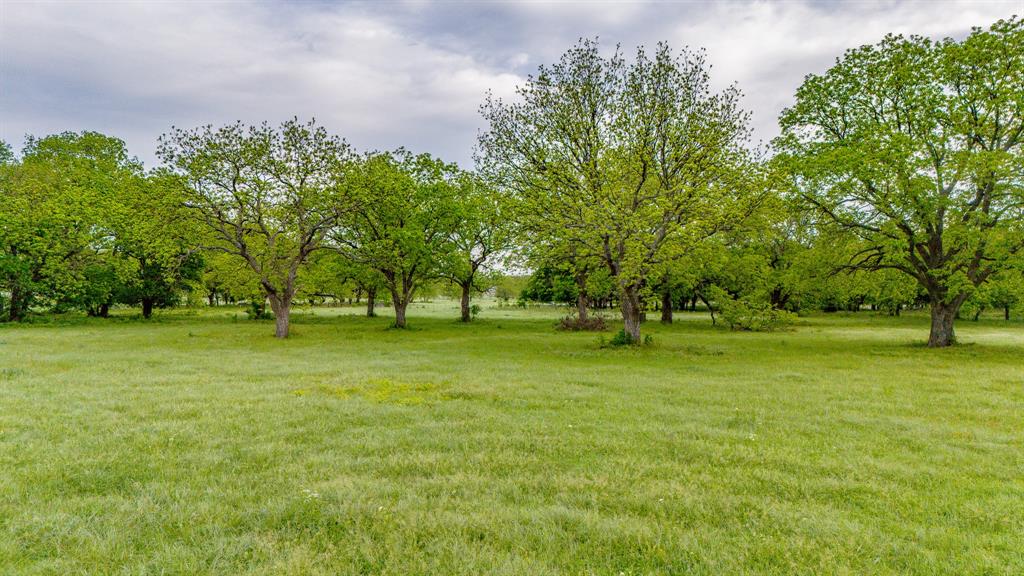 3061 Turkey Creek Road Sunset, TX 76270 - Photo 7 of 38 a view of outdoor space with deck and trees