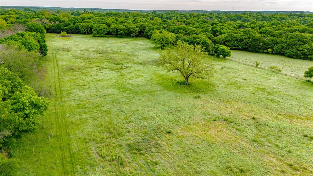 3061 Turkey Creek Road Sunset, TX 76270 - Photo 8 of 38 a view of a yard with plants