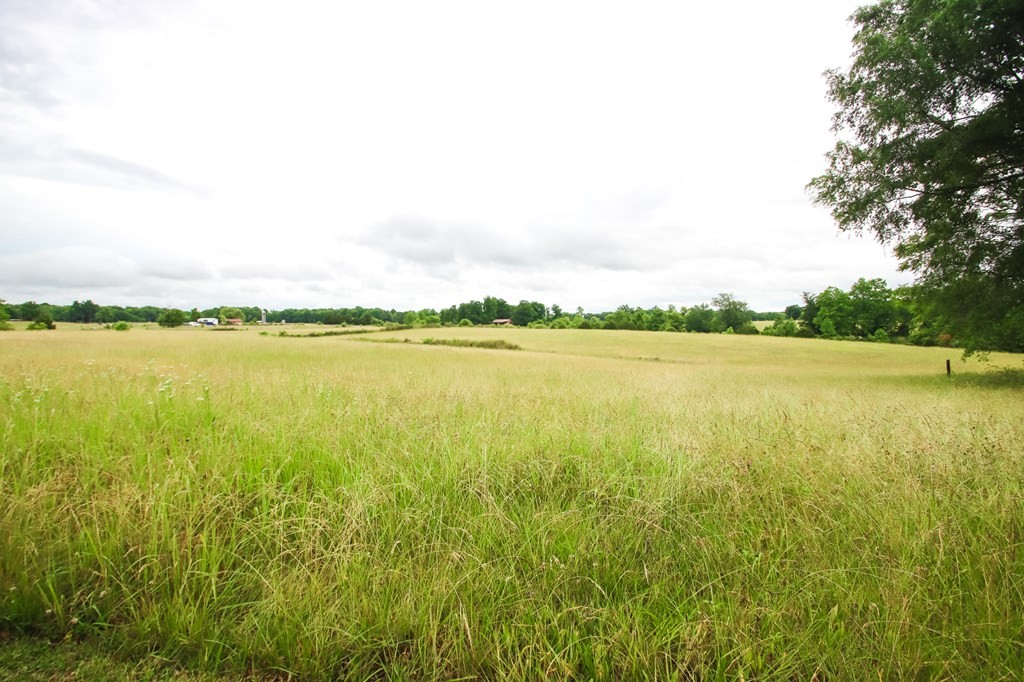 541 Toy Slatten Road Sparta, TN 38583 - Photo 4 of 34