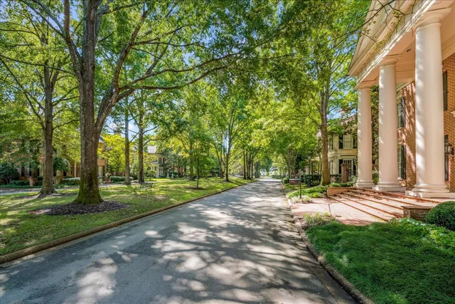 a view of a park that has a tree on it