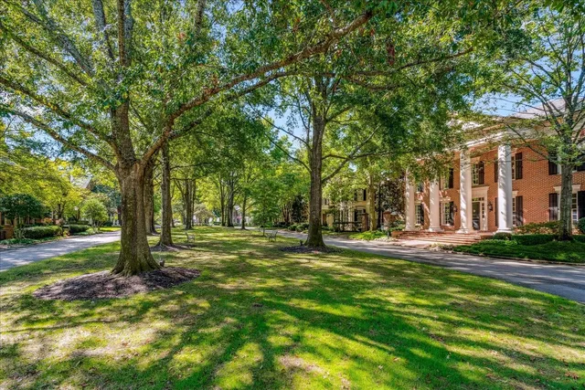 a view of a trees in a yard