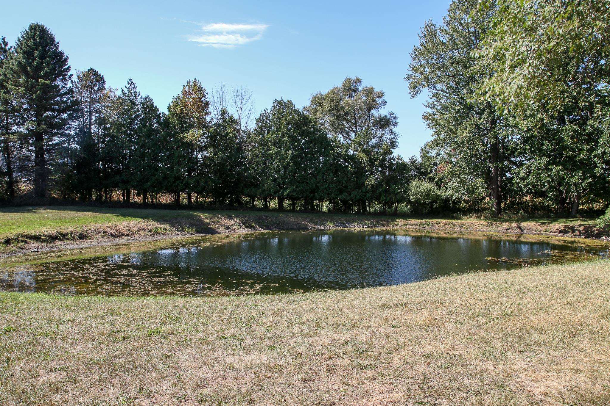 12287 East Richfield Road Davison, MI 48423 - Photo 14 of 39 3rd pond on property