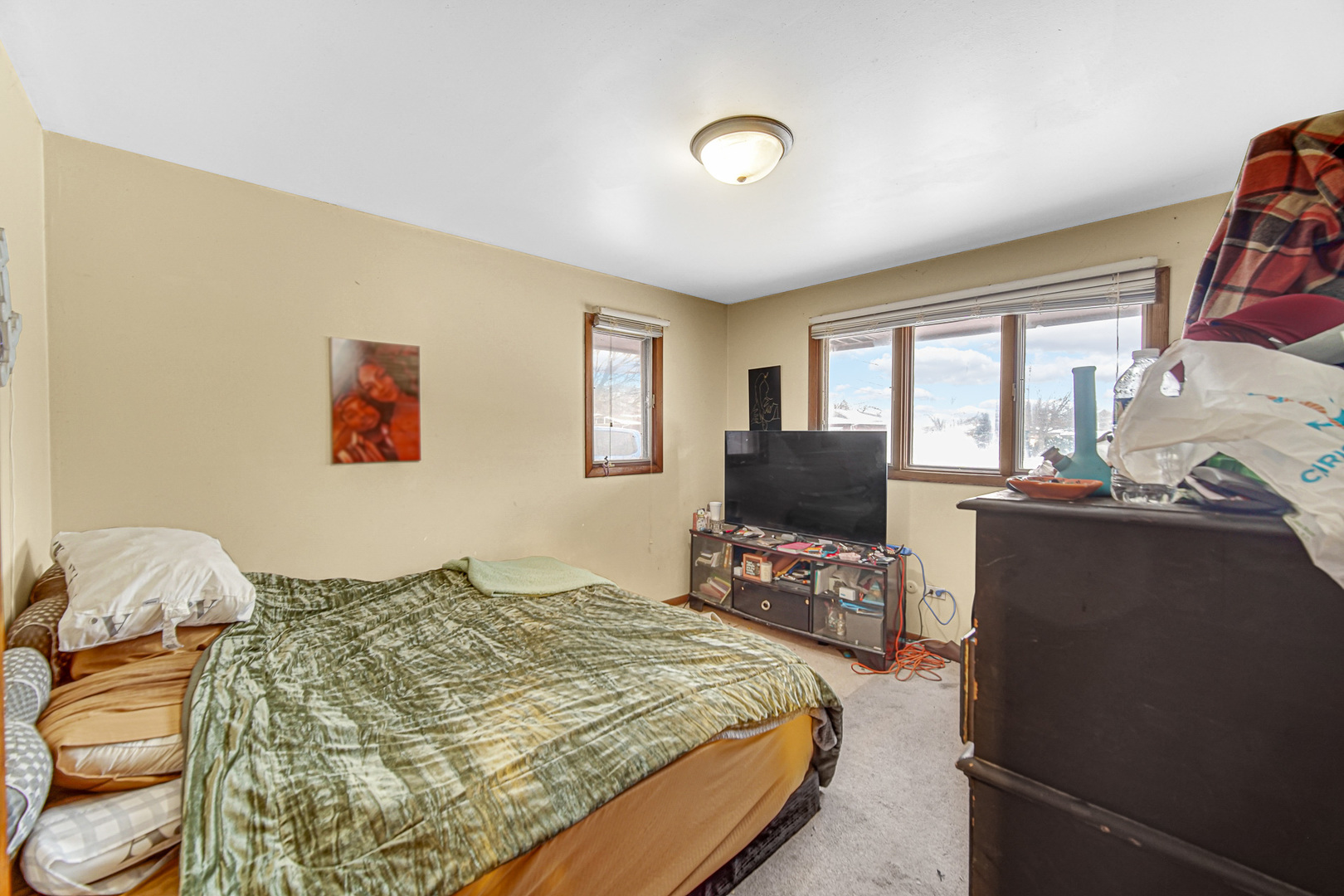 463 Orchard Lane Beecher, IL 60401 - Photo 14 of 20