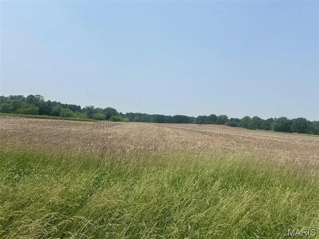 $850,000 | 115-acres 115-acres Audrain, Mexico, MO 65265