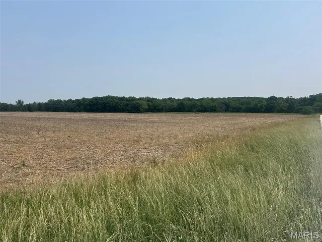 $850,000 | 115-acres 115-acres Audrain, Mexico, MO 65265