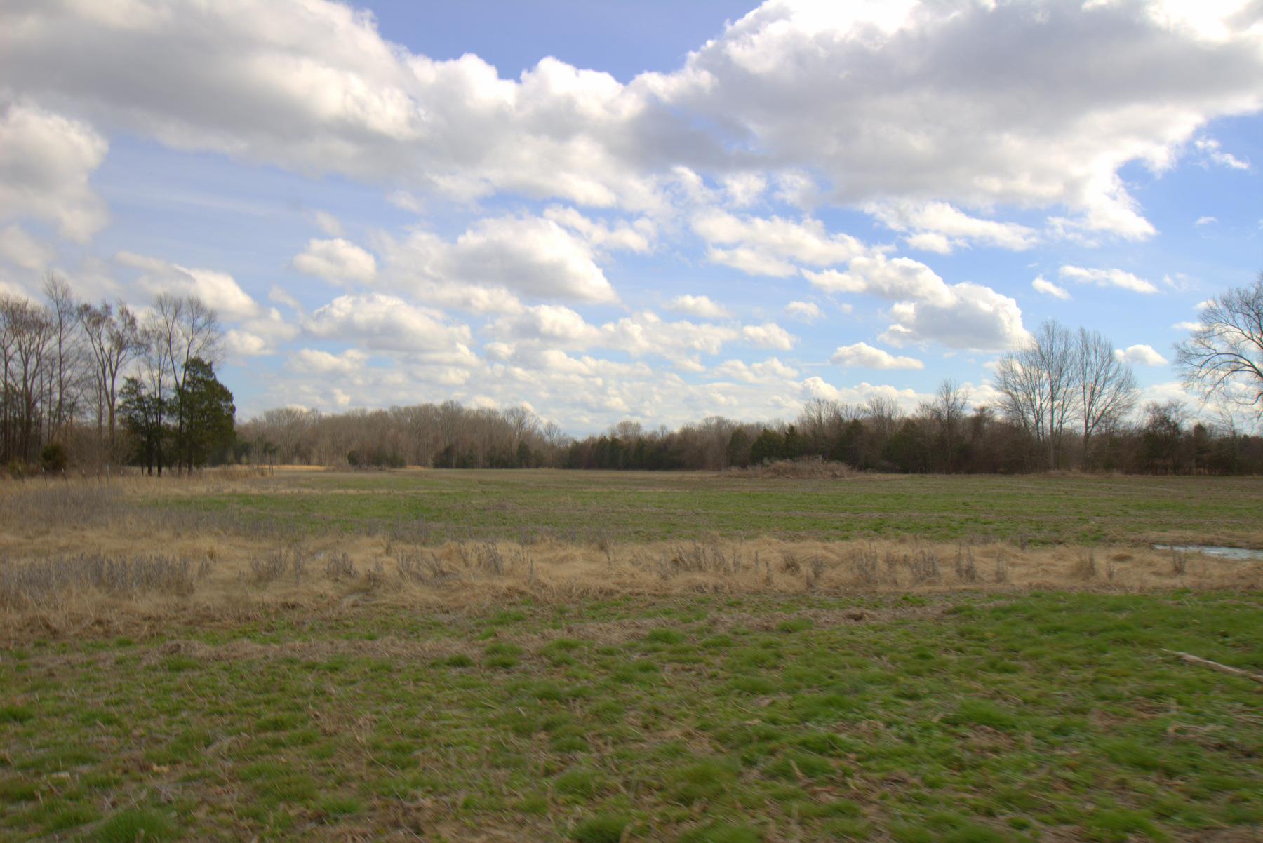 0 Nickens Road Lewisburg, TN 37091 - Photo 1 of 10 Gallery Image 1