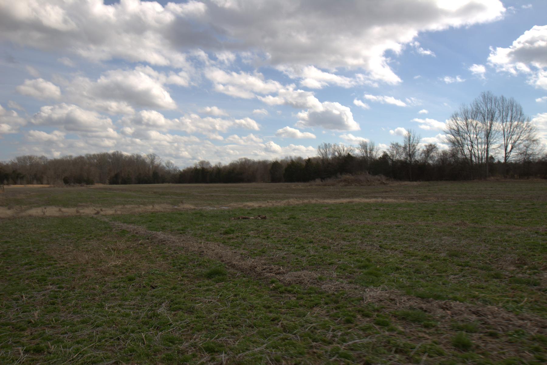 0 Nickens Road Lewisburg, TN 37091 - Photo 2 of 10 Gallery Image 2