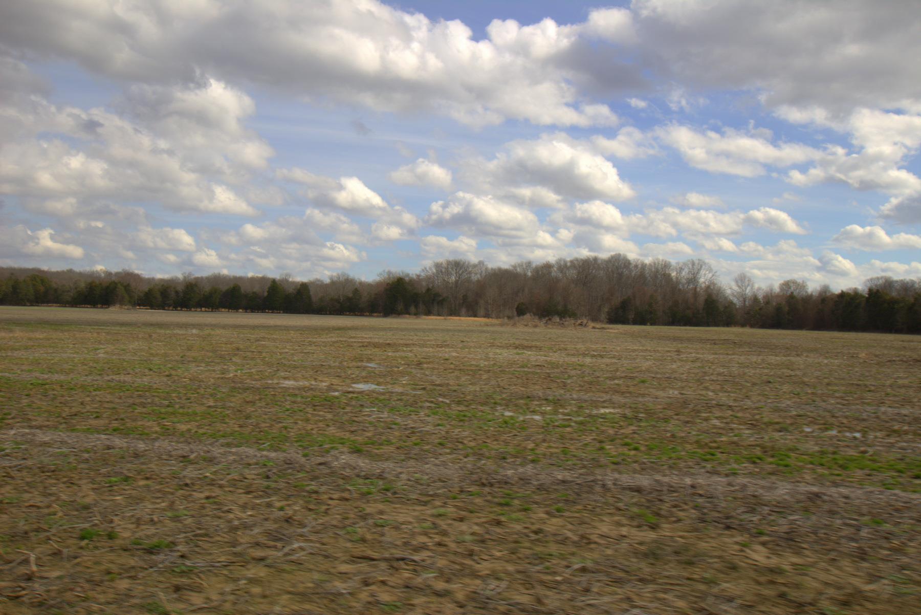 0 Nickens Road Lewisburg, TN 37091 - Photo 3 of 10 Gallery Image 3