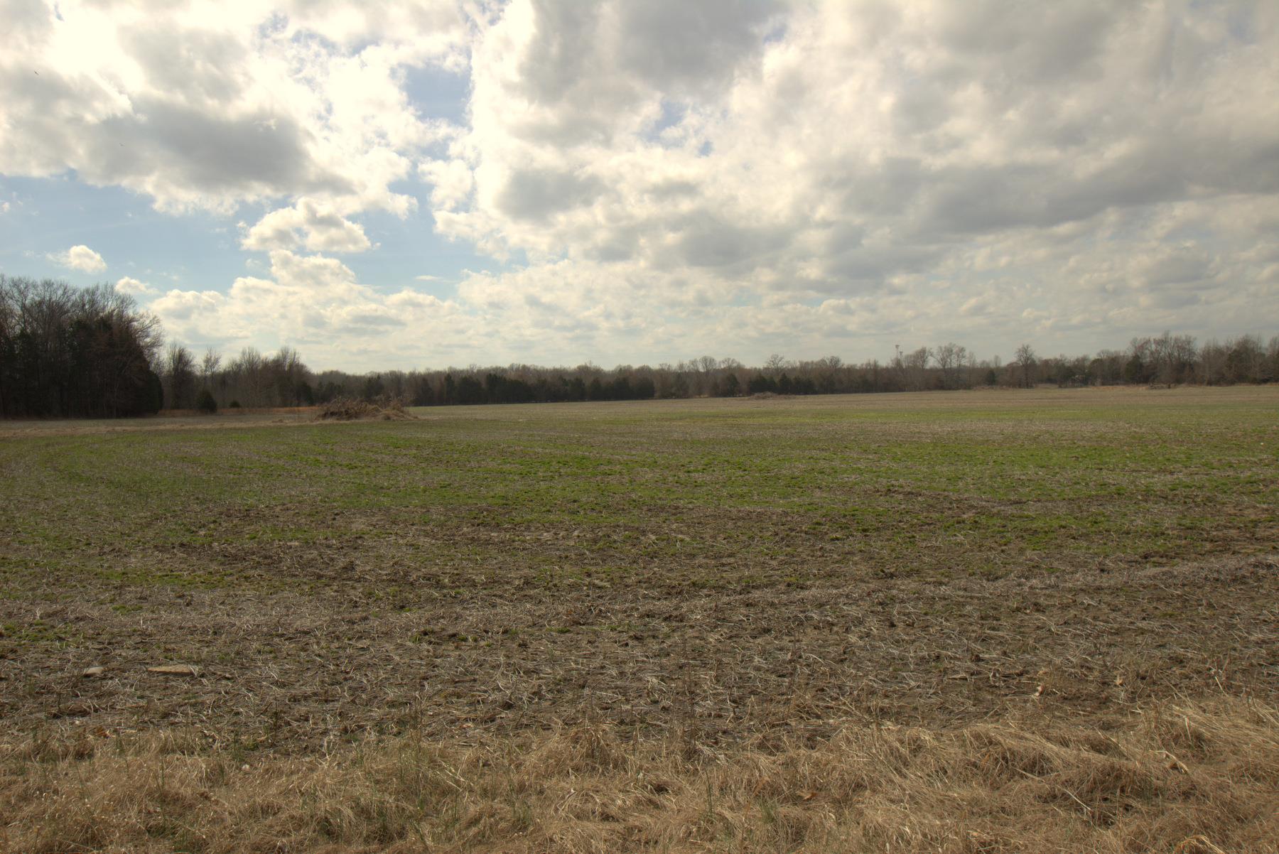0 Nickens Road Lewisburg, TN 37091 - Photo 4 of 10 Gallery Image 4