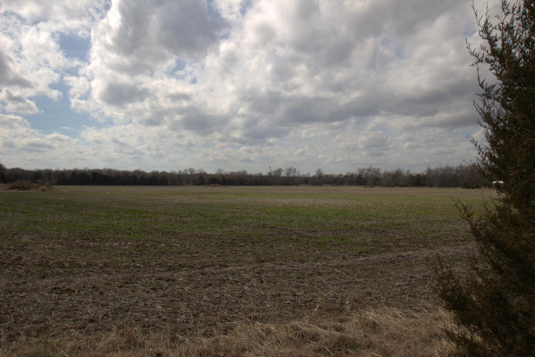 0 Nickens Road Lewisburg, TN 37091 - Photo 5 of 10 Gallery Image 5