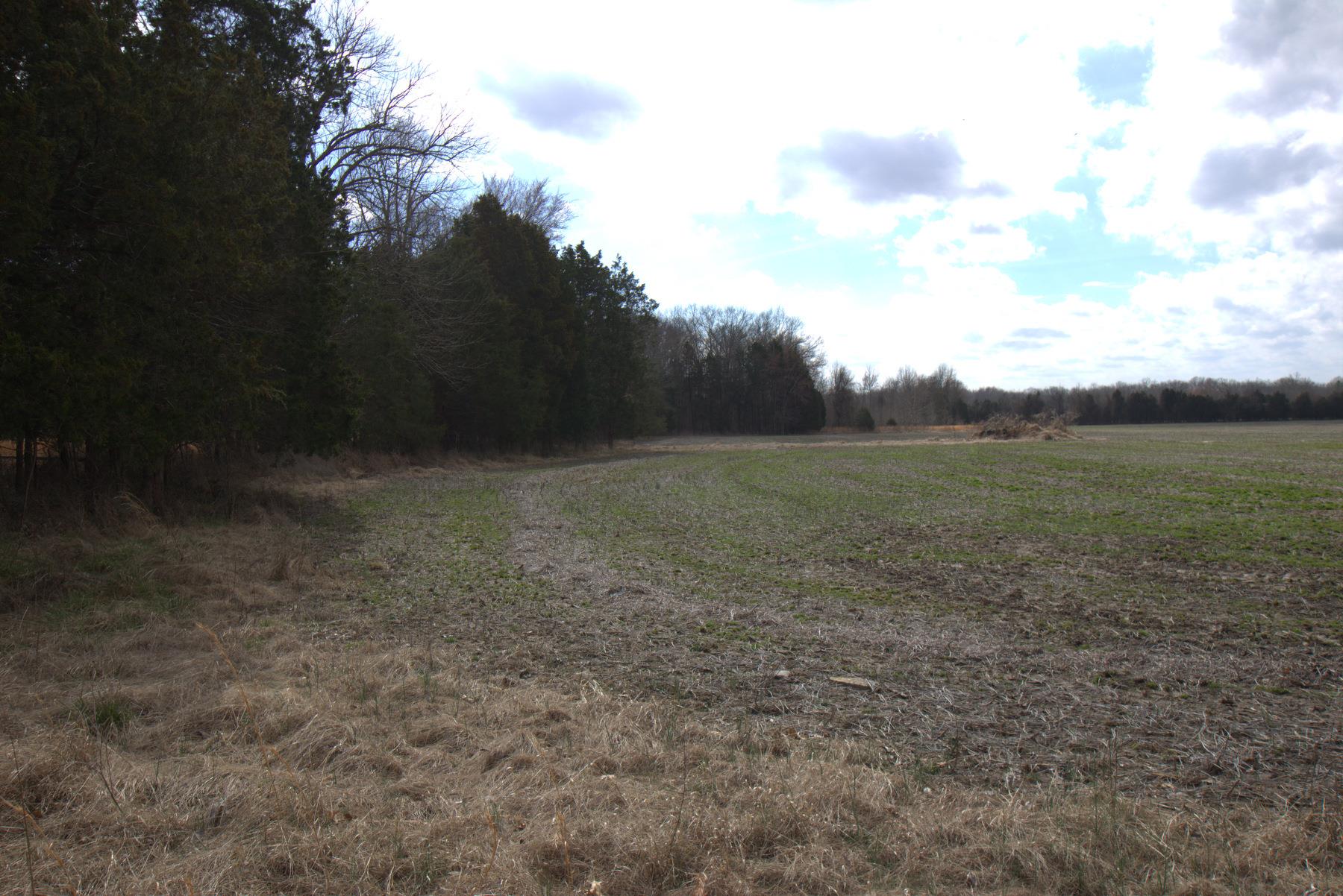 0 Nickens Road Lewisburg, TN 37091 - Photo 6 of 10 Gallery Image 6