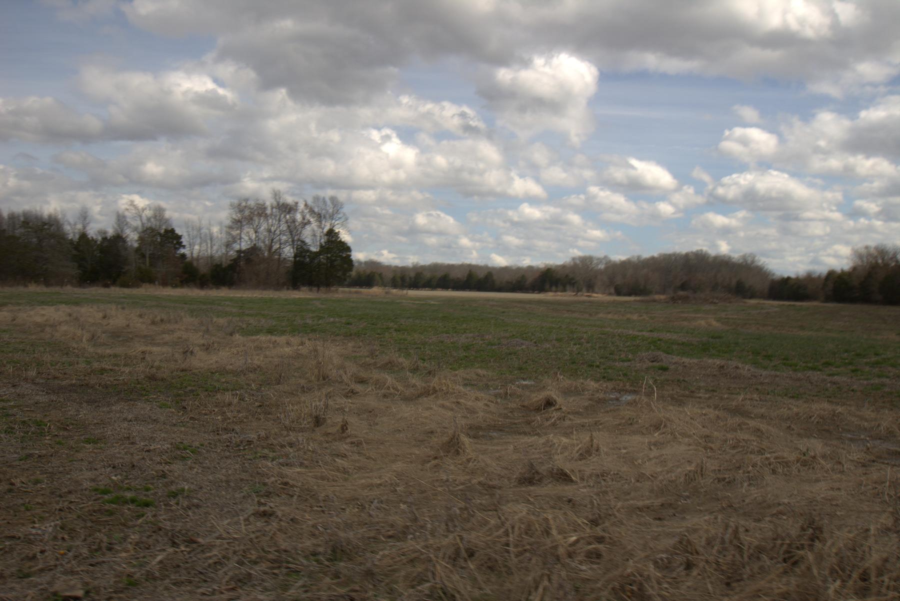 0 Nickens Road Lewisburg, TN 37091 - Photo 7 of 10 Gallery Image 7