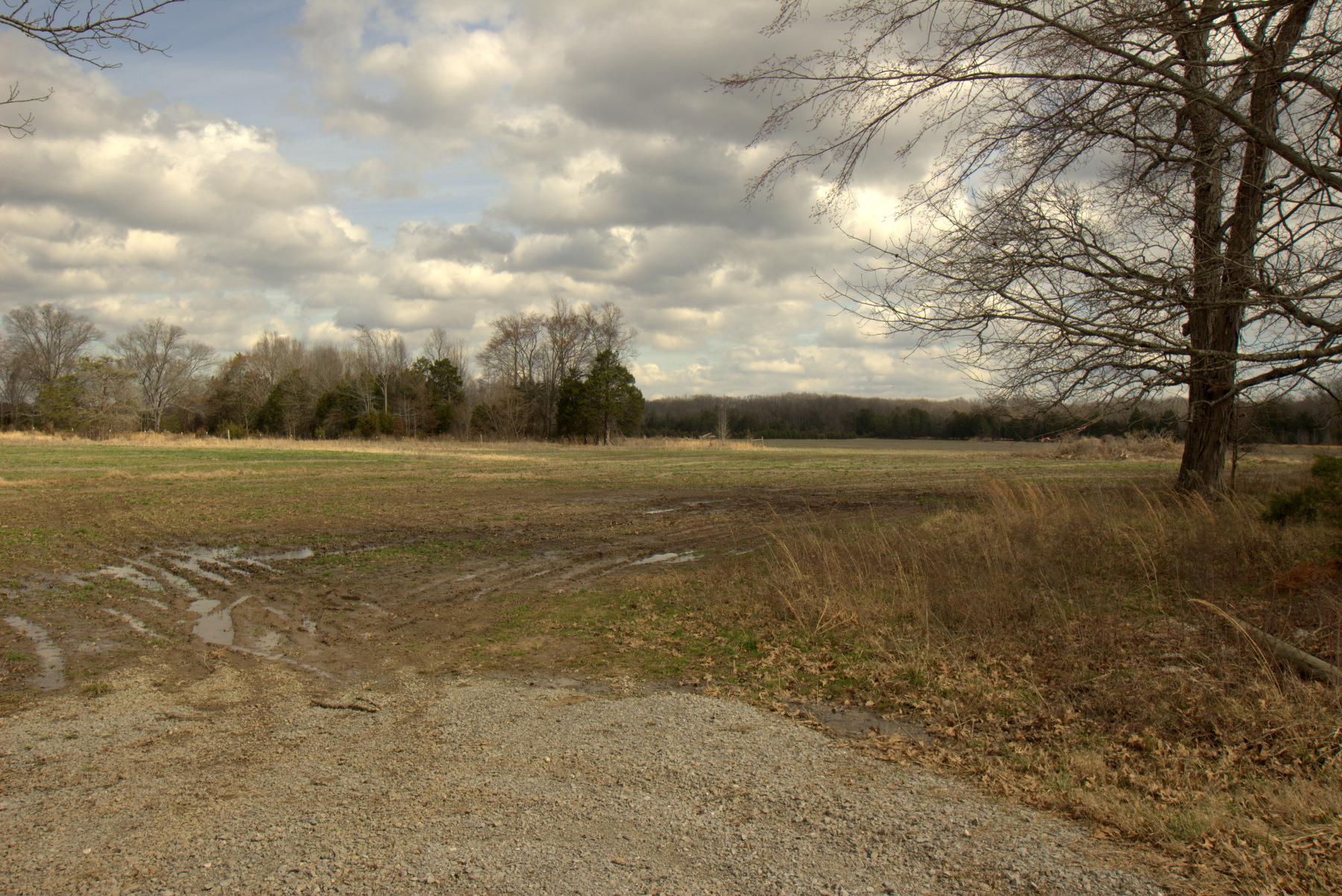 0 Nickens Road Lewisburg, TN 37091 - Photo 9 of 10 Gallery Image 9