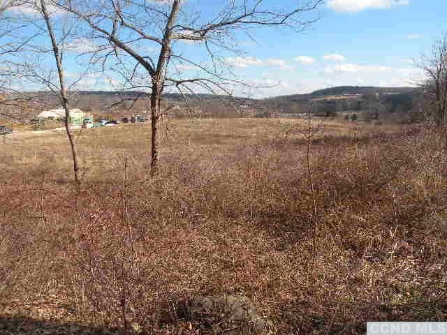 0 Rudd Pond Road Millerton, NY 10520 - Photo 2 of 4 a view of a yard in a yard