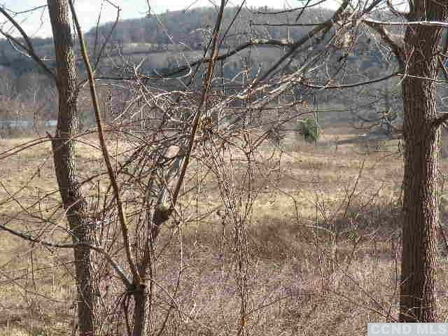 0 Rudd Pond Road Millerton, NY 10520 - Photo 4 of 4 a view of a yard