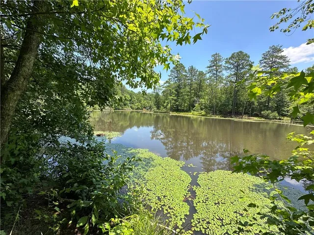 a view of a lake with a house in the background