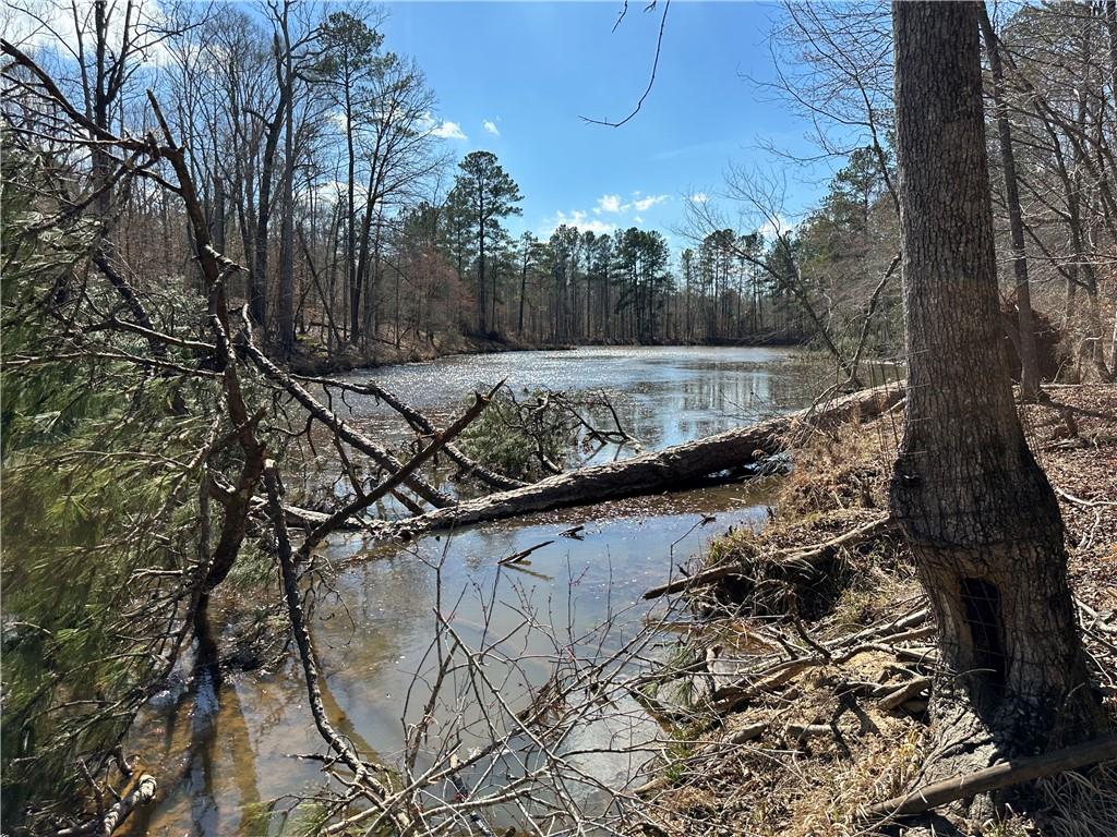 0 Rocky Point Road Covington, GA 30014 - Photo 14 of 23 a view of a yard with plants and large trees