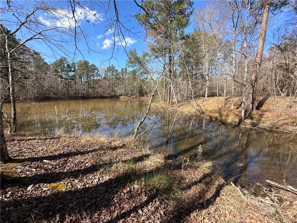 0 Rocky Point Road Covington, GA 30014 - Photo 15 of 23 a view of a yard with wooden fence