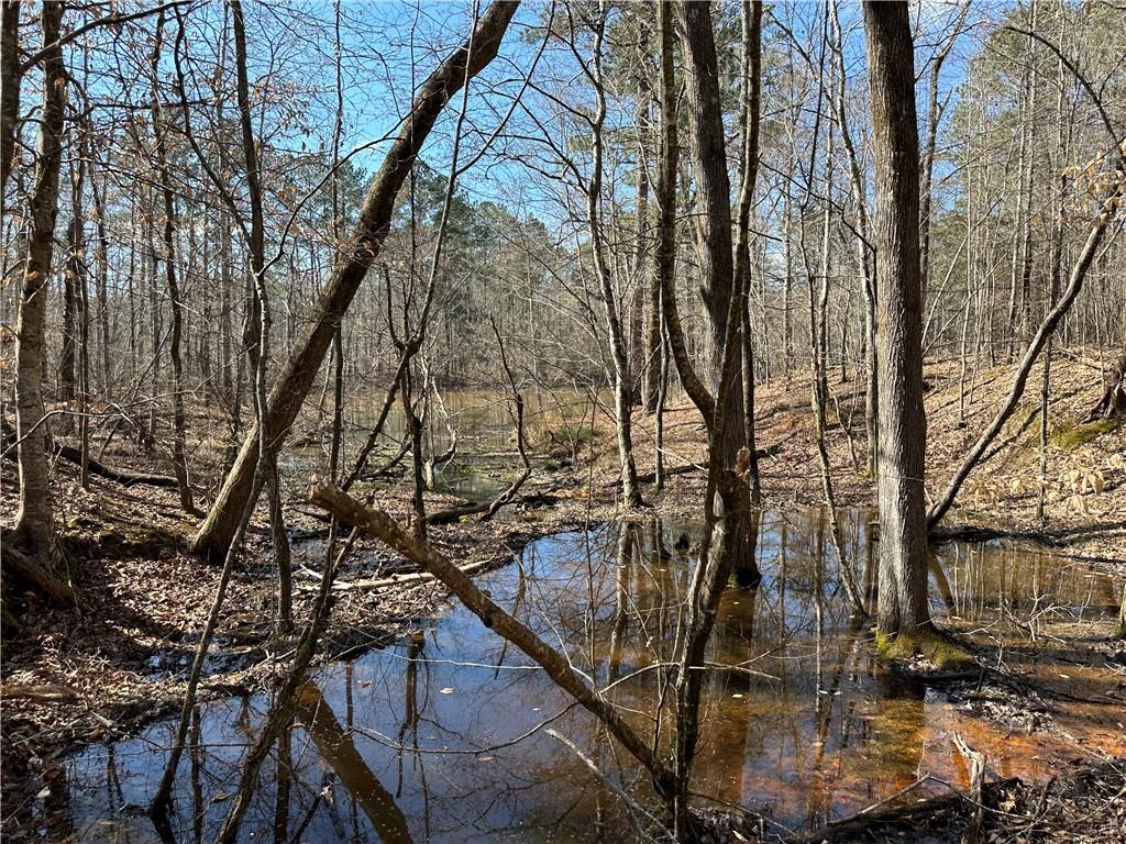 0 Rocky Point Road Covington, GA 30014 - Photo 17 of 23 a view of outdoor space with lots of trees