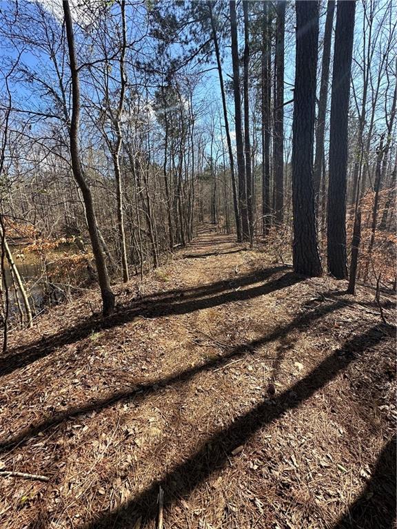 0 Rocky Point Road Covington, GA 30014 - Photo 18 of 23 a view of a backyard with large trees