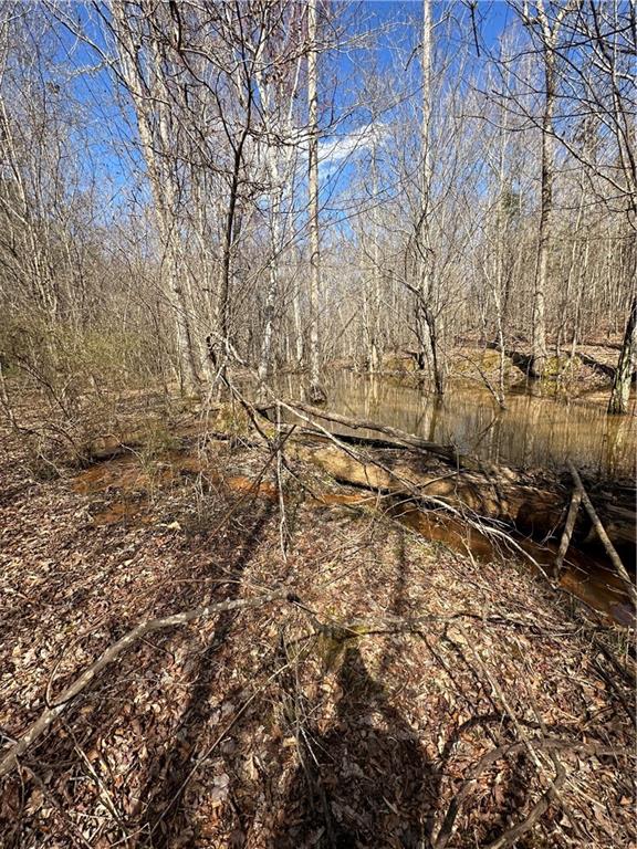 0 Rocky Point Road Covington, GA 30014 - Photo 20 of 23 a view of a yard with some trees