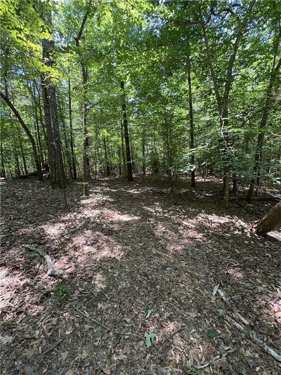 0 Rocky Point Road Covington, GA 30014 - Photo 2 of 23 a view of a forest with trees in the background