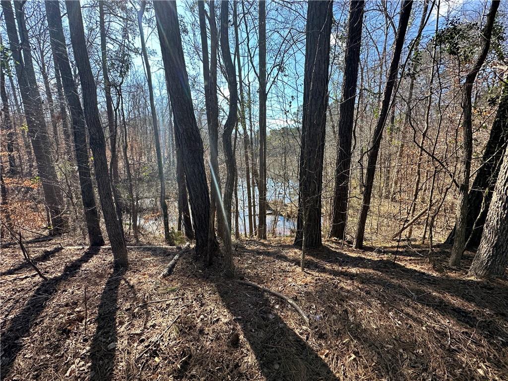 0 Rocky Point Road Covington, GA 30014 - Photo 21 of 23 a view of a backyard with large trees and wooden fence