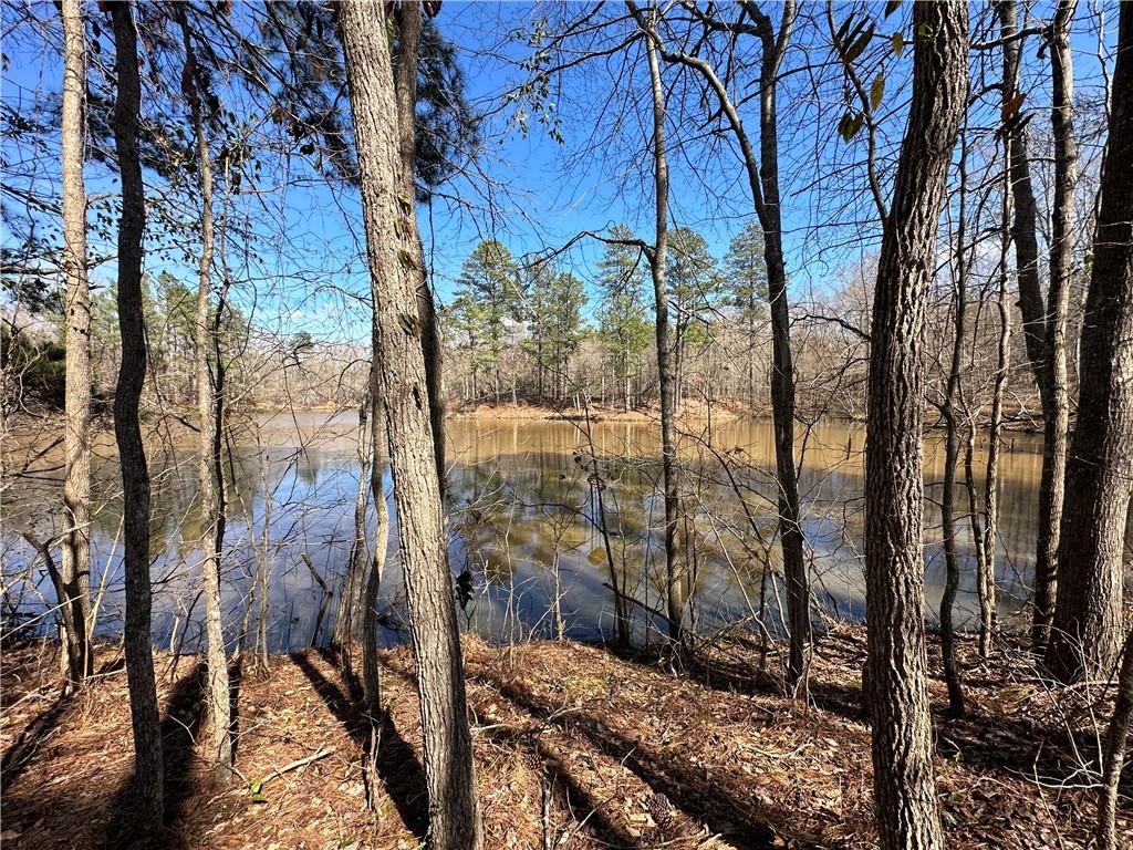 0 Rocky Point Road Covington, GA 30014 - Photo 22 of 23 a view of a outdoor space