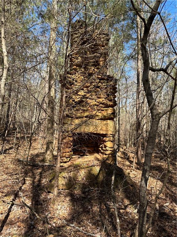 0 Rocky Point Road Covington, GA 30014 - Photo 23 of 23 a view of outdoor space