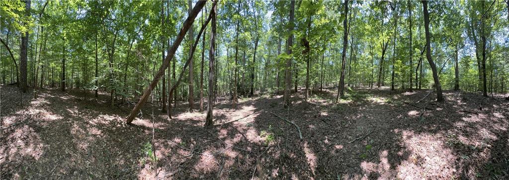 0 Rocky Point Road Covington, GA 30014 - Photo 3 of 23