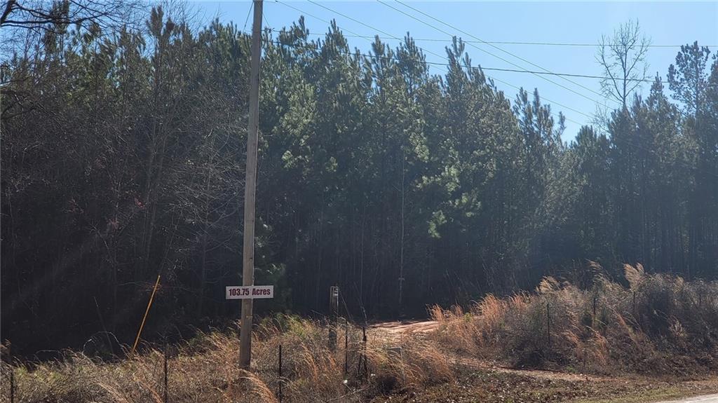 0 Rocky Point Road Covington, GA 30014 - Photo 6 of 23 a view of a house in a forest