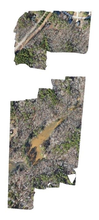 0 Rocky Point Road Covington, GA 30014 - Photo 9 of 23 a view of a yard