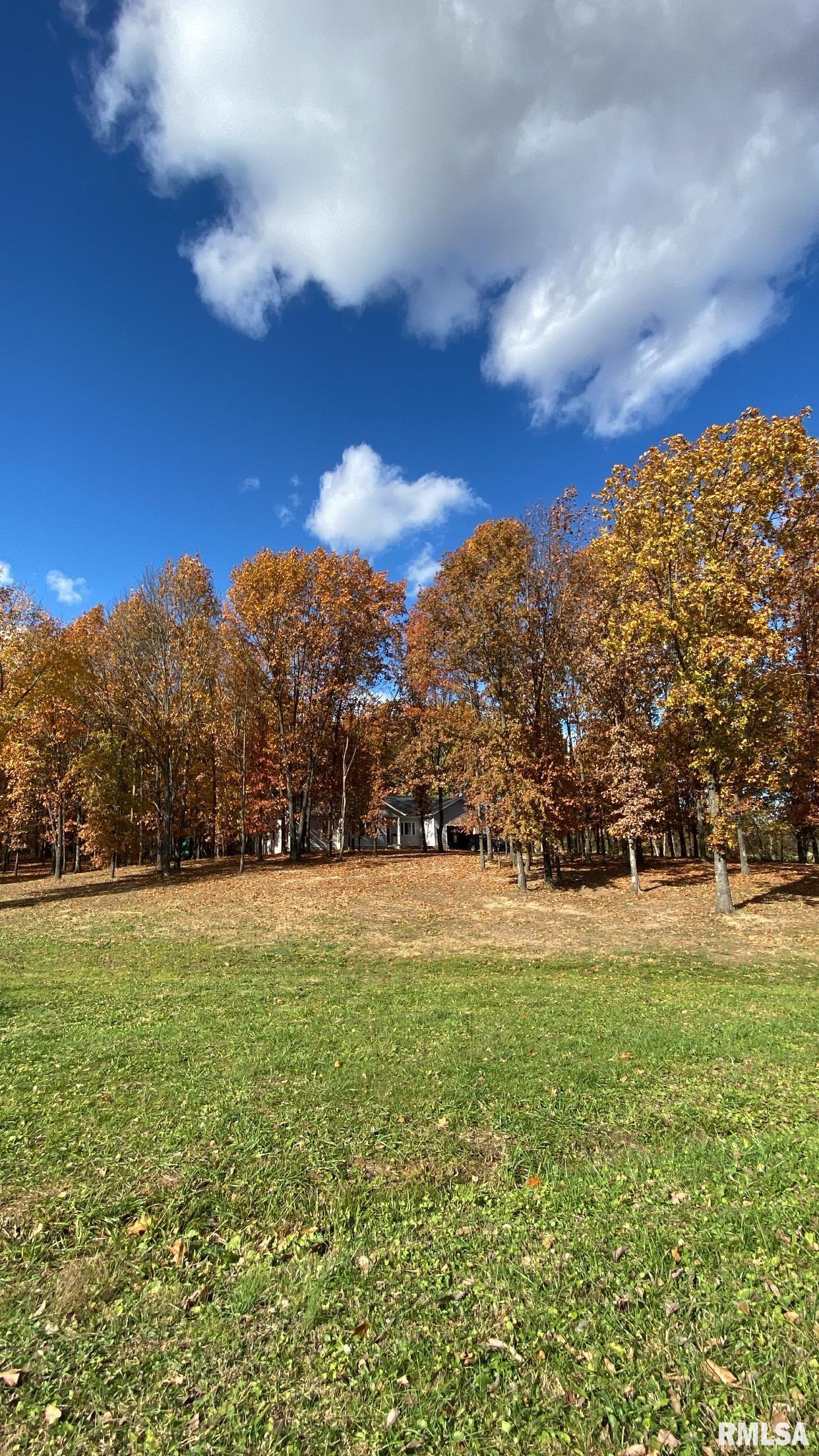 235 Eblin Road Texico, IL 62889 - Photo 46 of 50